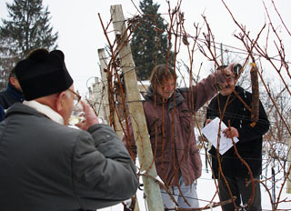 I ove godine Vincekovo su lanovi vinogradarsko-vinarske udruge doekali u vinogradu Marijana Sokolovia