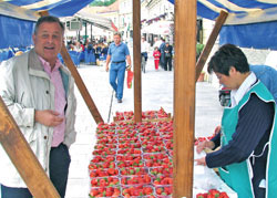 Na Trgu kralja Tomislava organizirana prigodna prodaja jagoda