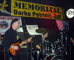 Memorijalna svirka za Darka Petrinića