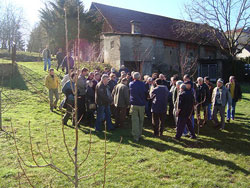 U voćnjaku franjevačkog samostana održana demonstracija rezidbe voćaka