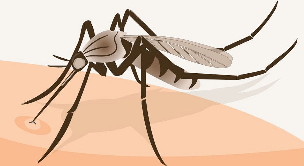 8. larvicidni tretman suzbijanja komaraca u Samoboru