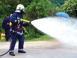 Na Žumberku je održana pokazna vatrogasna vježba u organizaciji Vatrogasne zajednice Zagrebačke županije
