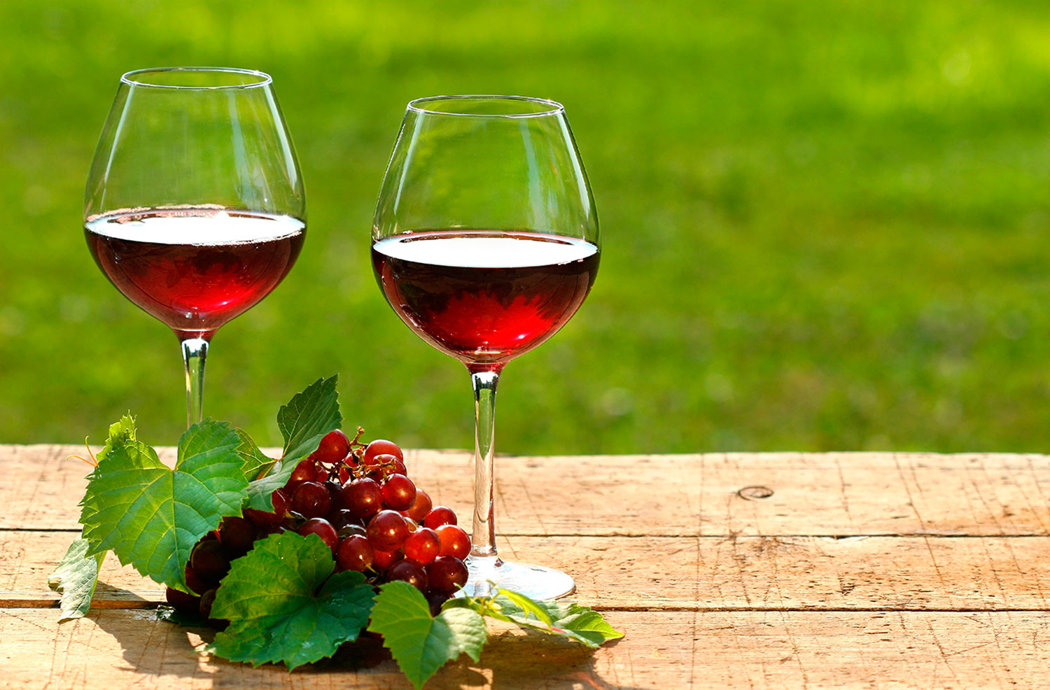 Samoborski vinogradari sustavno se educiraju