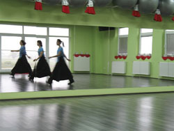 Plesna grupa Burka radno obiljeila Svjetski dan plesa