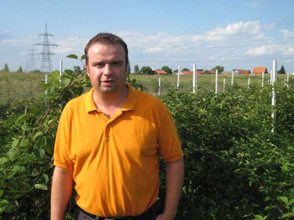 Igor Jaić Krasnik, predsjednik Eko udruge proizvođača kupina i malina  