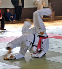 15. meunarodni turnir Judo kup Samobor 2006.