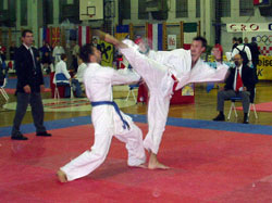 Otvoreno prvenstvo Hrvatske u karateu  - II. CRO OPEN 