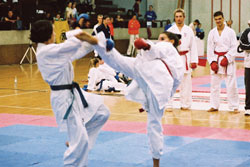 Otvoreno prvenstvo Hrvatske 2006, Zagreb