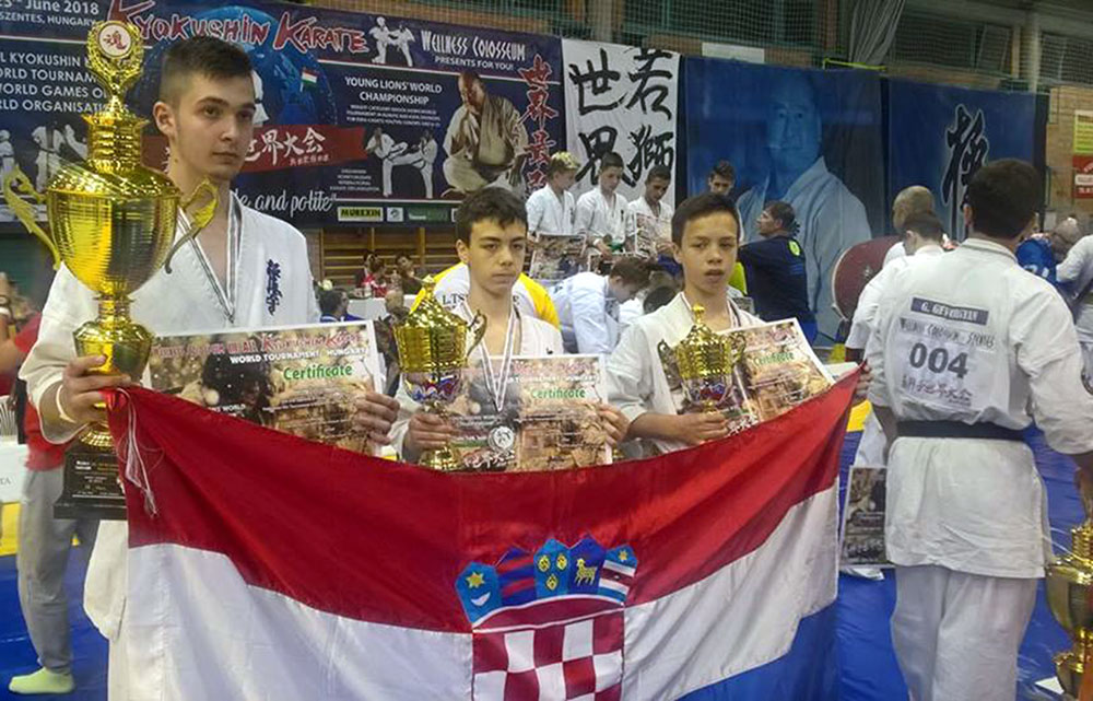 3.  svjetsko prvenstvo za mlade u kyokushin karateu Young Lion's World Championship