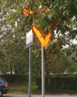 Prometni znak na krianju Gajeve i Ulice Milana Reisera obrastao je granjem
